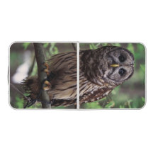 Barred Owl