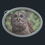 Barred Owl Belt Buckle<br><div class="desc">A beautiful adult barred owl perched on a tree limb. Photo by Brian Kraus.</div>
