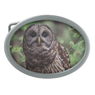 Barred Owl Belt Buckle