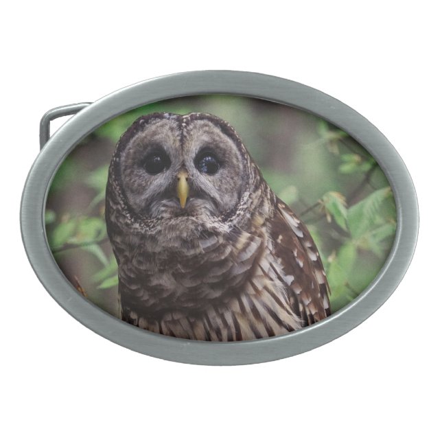 Barred Owl Belt Buckle (Front)
