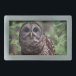 Barred Owl Belt Buckle<br><div class="desc">A beautiful adult barred owl perched on a tree limb. Photo by Brian Kraus.</div>