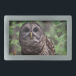 Barred Owl Belt Buckle<br><div class="desc">A beautiful adult barred owl perched on a tree limb. Photo by Brian Kraus.</div>