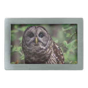 Barred Owl Belt Buckle