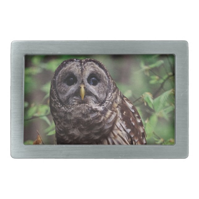 Barred Owl Belt Buckle (Front)