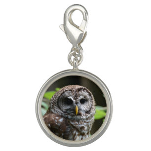 Barred Owl Charm