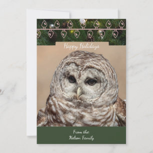 Barred Owl Christmas Card