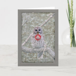 Barred Owl Christmas Greeting Card