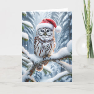BARRED OWL CHRISTMAS - WILDLIFE  HOLIDAY CARD
