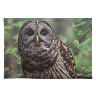 Barred Owl Cloth Placemat