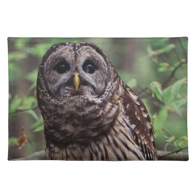 Barred Owl Cloth Placemat (Front)