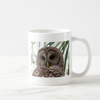 Barred Owl Coffee Mug