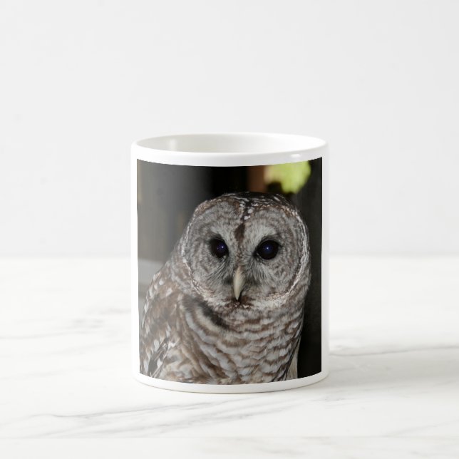 Barred Owl Coffee Mug (Center)