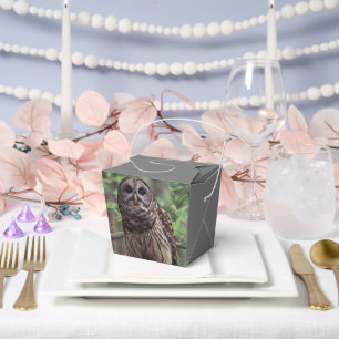 Barred Owl Favor Boxes