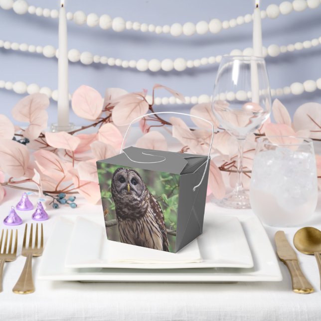 Barred Owl Favor Boxes (Wedding)