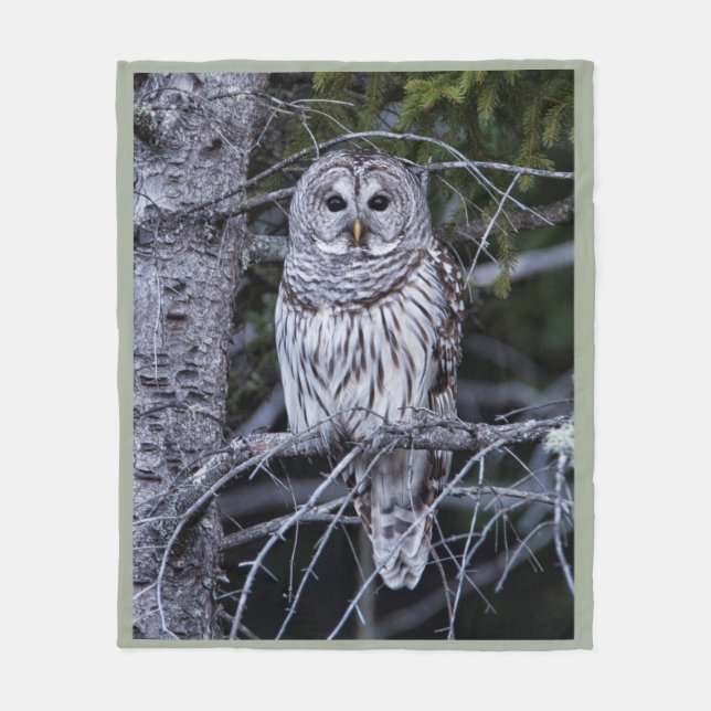 Barred Owl Fleece Blanket (Front)