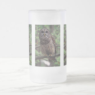 Barred Owl Frosted Glass Beer Mug
