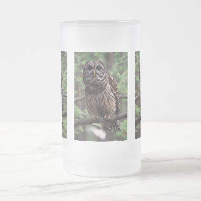 Barred Owl Frosted Glass Beer Mug (Center)