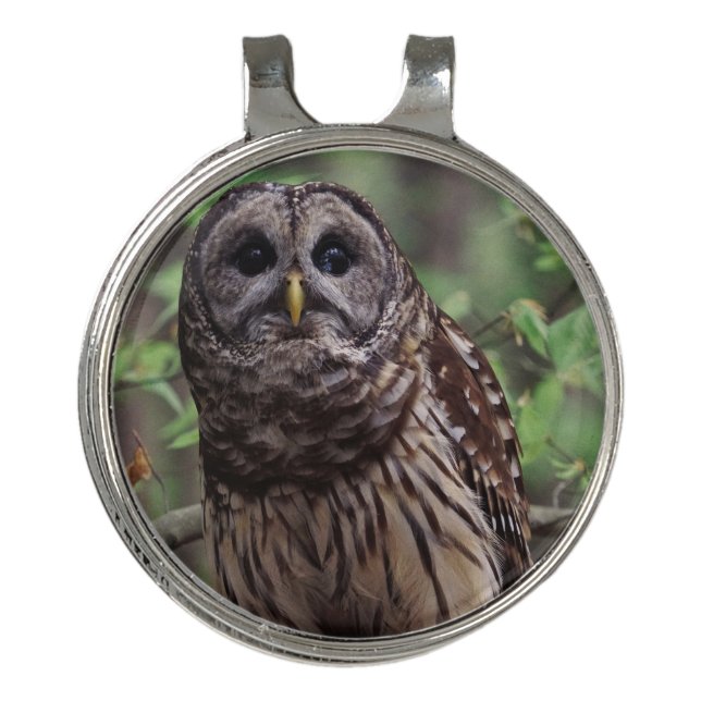 Barred Owl Golf Hat Clip (Front)