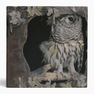 Barred Owl - Here's Looking at You! 3 Ring Binder