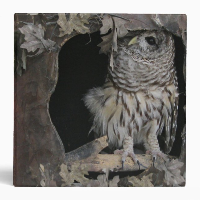 Barred Owl - Here's Looking at You! 3 Ring Binder (Front)