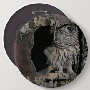Barred Owl - Here's Looking at You! Button