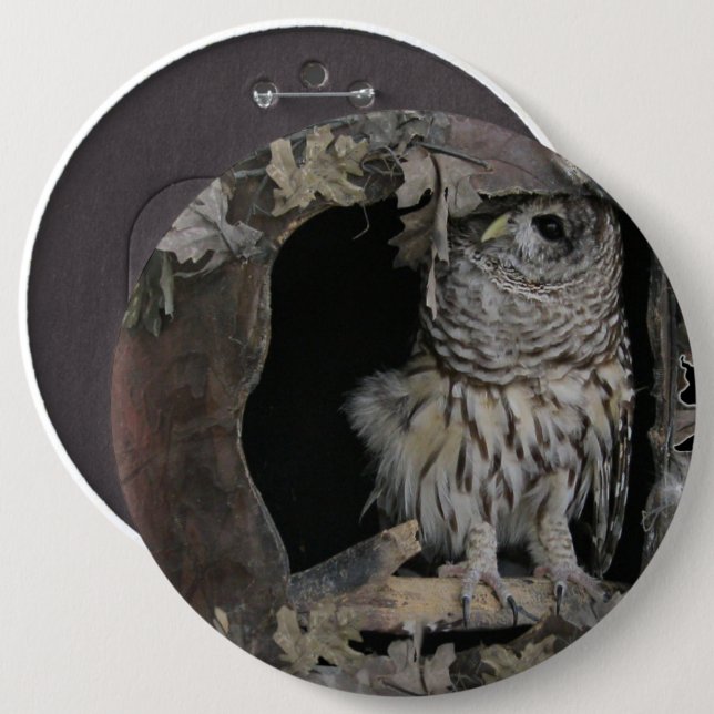 Barred Owl - Here's Looking at You! Button (Front & Back)