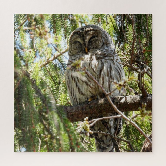 Barred Owl in Evergreen Tree Jigsaw Puzzle (Vertical)