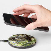 Barred Owl in Evergreen Tree Wireless Charger (Hand)