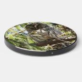 Barred Owl in Evergreen Tree Wireless Charger (Front 2)