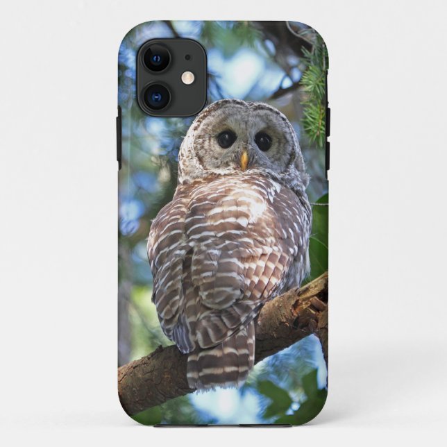 Barred Owl in the Forest Case-Mate iPhone Case (Back)