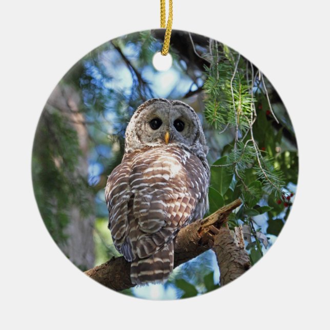 Barred Owl in the Forest Ceramic Ornament (Front)