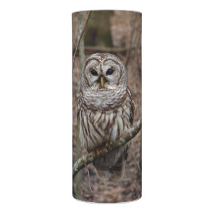 Barred Owl in Woods LED Candle