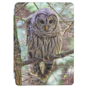 Barred Owl iPad Smart Cover