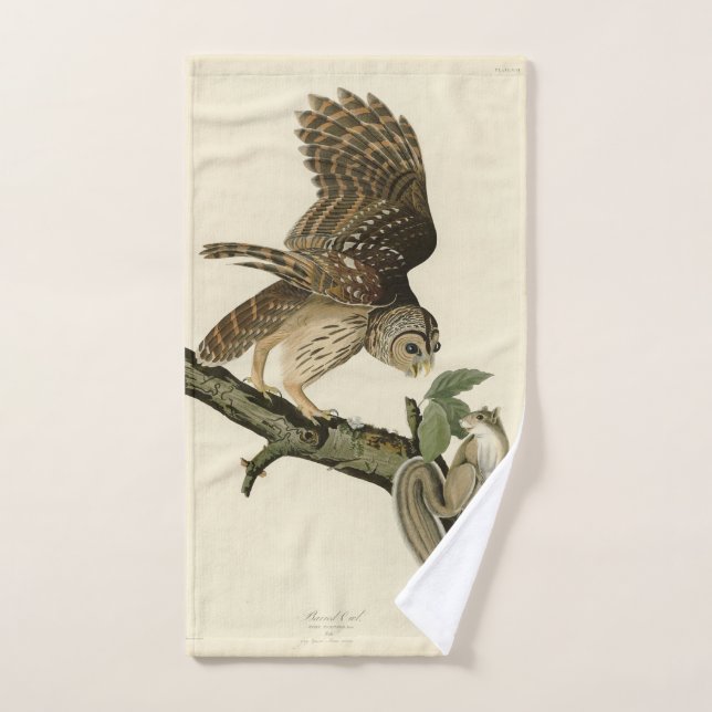 Barred Owl, John James Audubon's Birds of America Bath Towel Set (Hand Towel)