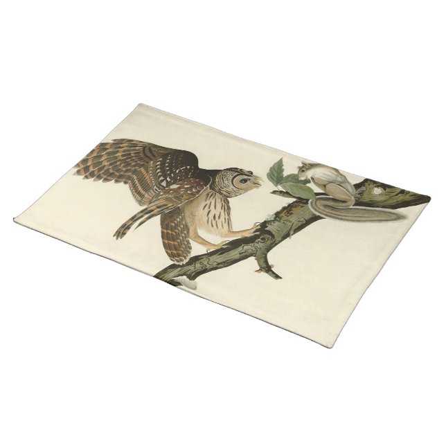 Barred Owl, John James Audubon's Birds of America Cloth Placemat (On Table)