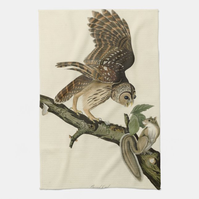 Barred Owl, John James Audubon's Birds of America Kitchen Towel (Vertical)