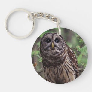 Barred Owl Keychain