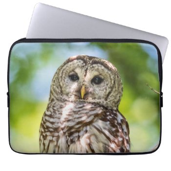 Barred Owl Laptop Sleeve by debscreative at Zazzle