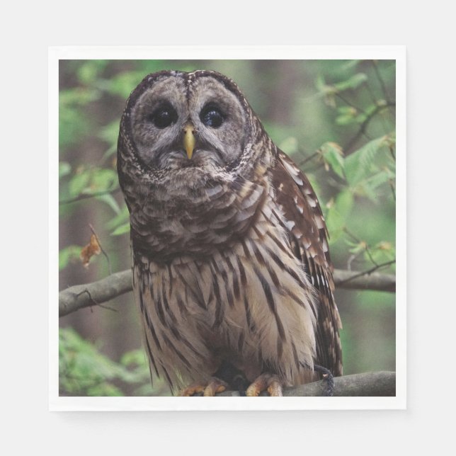 Barred Owl Napkins (Front)