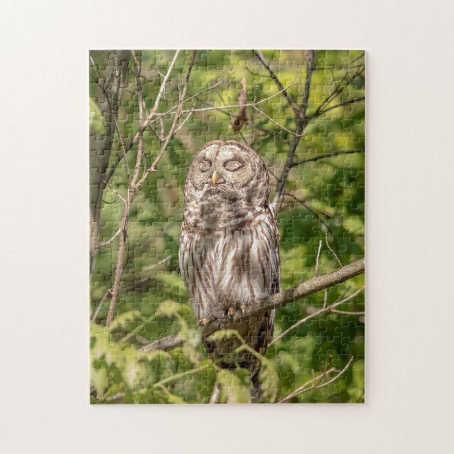 Barred Owl of the Hudson Valley Jigsaw Puzzle (Vertical)