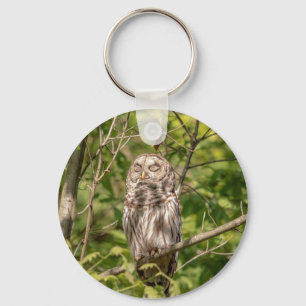 Barred Owl of the Hudson Valley Keychain