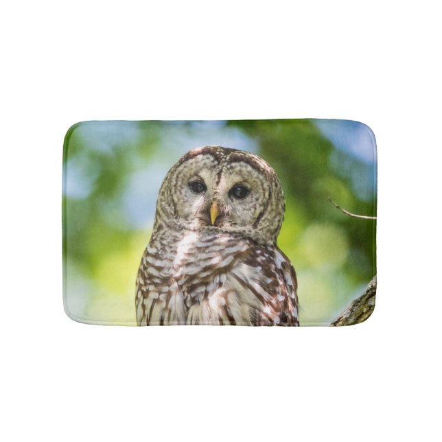 Barred Owl of the Hudson Valley – Nature & Wildlif Bathroom Mat (Front)