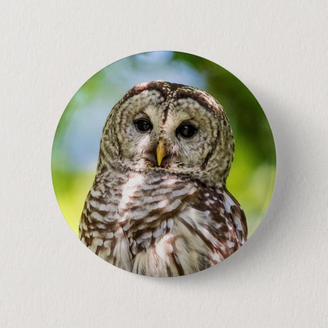 Barred Owl of the Hudson Valley – Nature & Wildlif Button (Front)