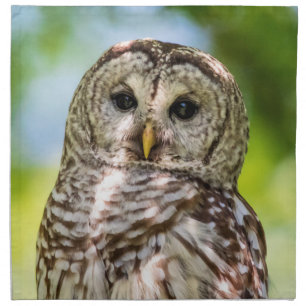 Barred Owl of the Hudson Valley – Nature & Wildlif Cloth Napkin