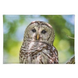 Barred Owl of the Hudson Valley – Nature & Wildlif Cloth Placemat