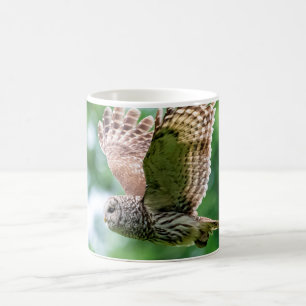 Barred Owl of the Hudson Valley – Nature & Wildlif Coffee Mug