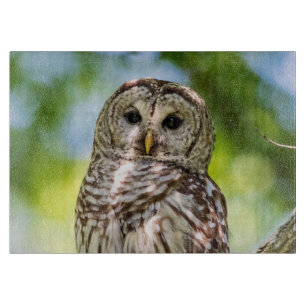 Barred Owl of the Hudson Valley – Nature & Wildlif Cutting Board