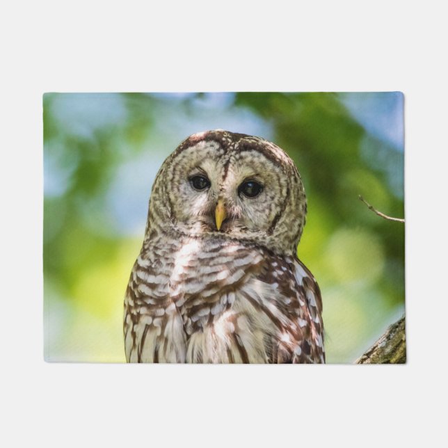 Barred Owl of the Hudson Valley – Nature & Wildlif Doormat (Front)