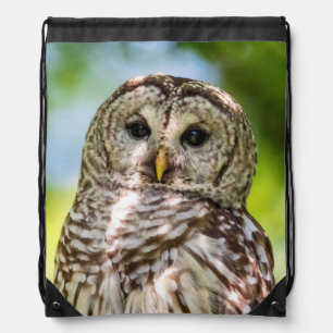 Barred Owl of the Hudson Valley – Nature & Wildlif Drawstring Bag