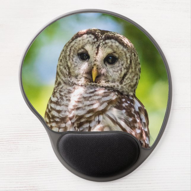 Barred Owl of the Hudson Valley – Nature & Wildlif Gel Mouse Pad (Front)